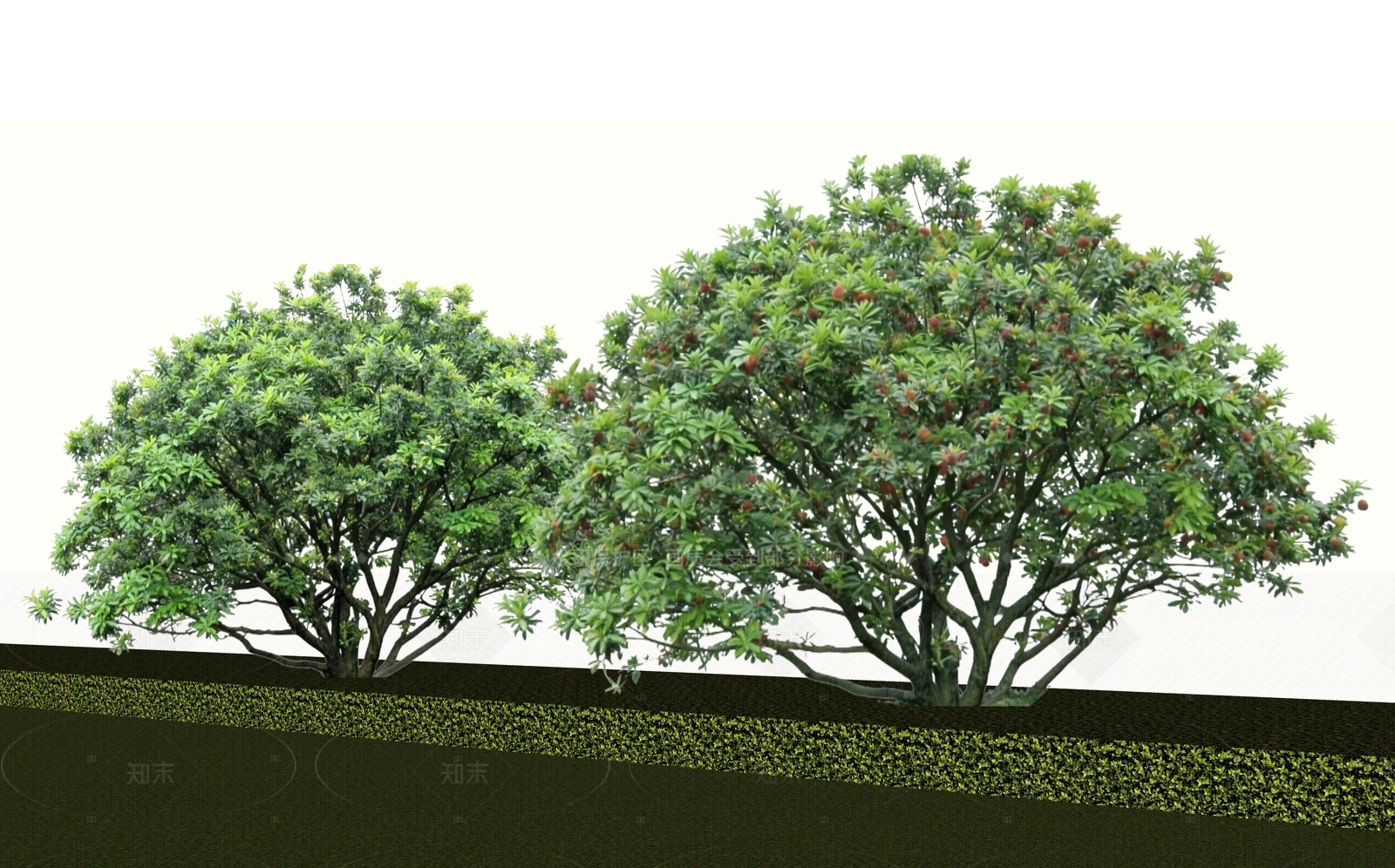 乔木SU模型下载【ID:1205382205】