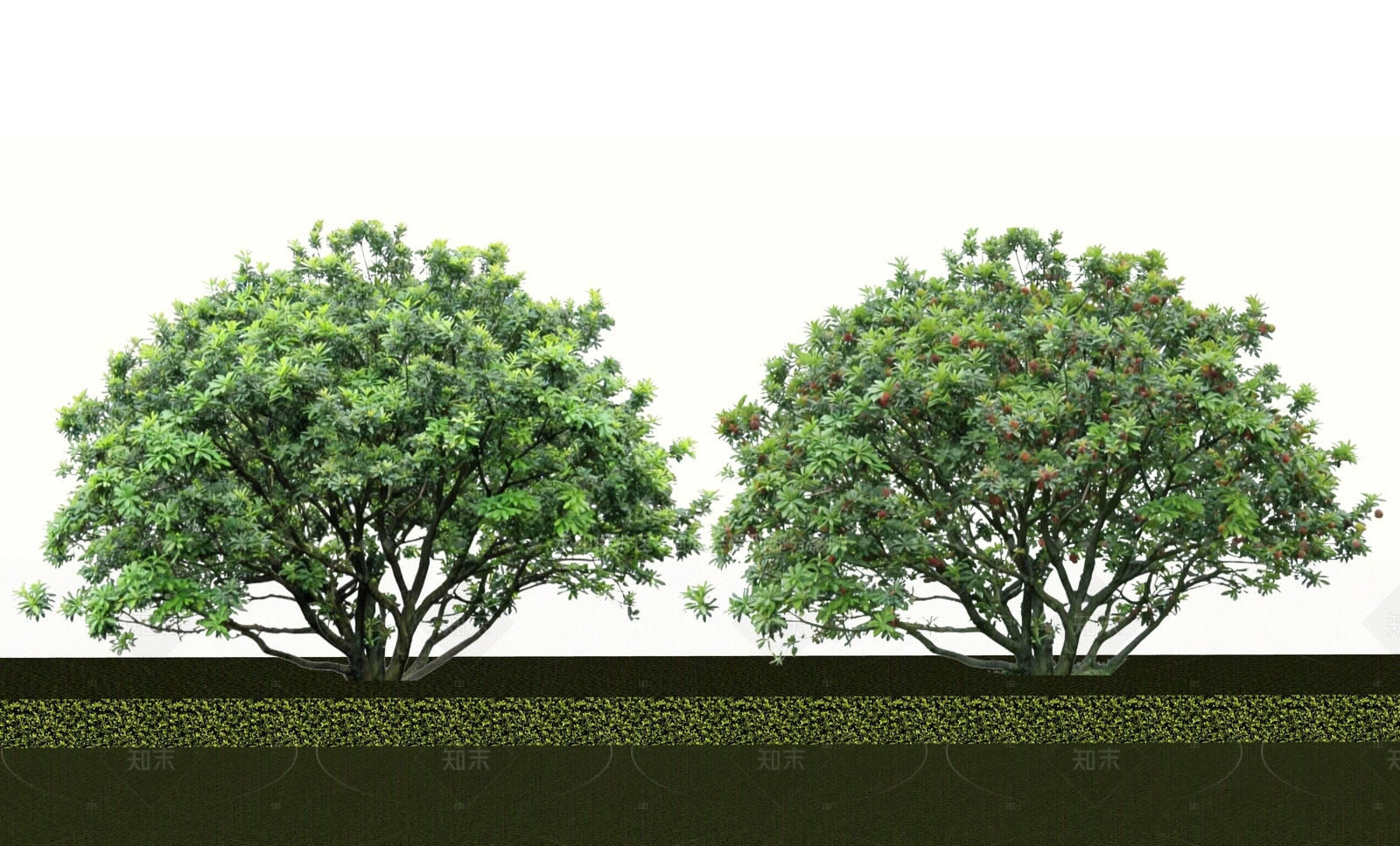乔木SU模型下载【ID:1205382205】