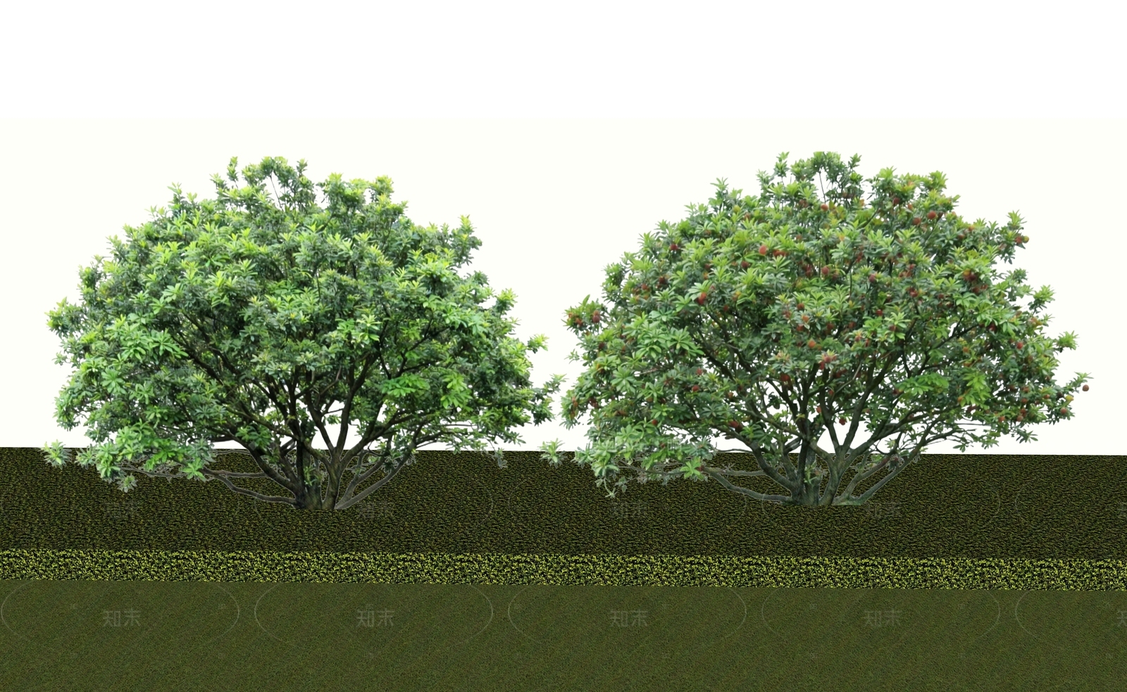 乔木SU模型下载【ID:1205382205】