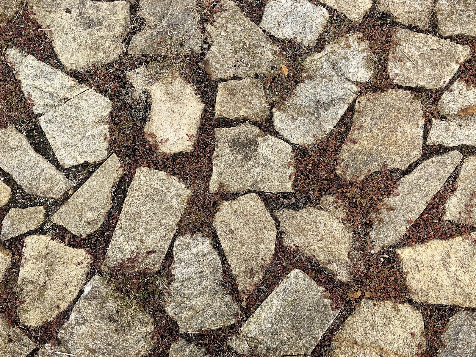 现代禅意路面贴图下载【ID:1205382818】