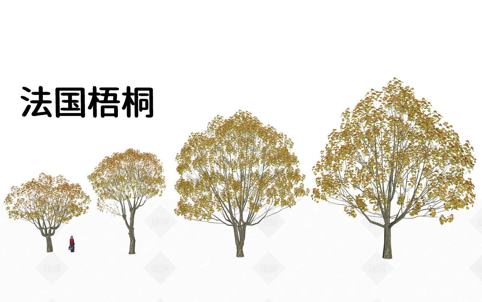 乔木SU模型下载【ID:1205385925】