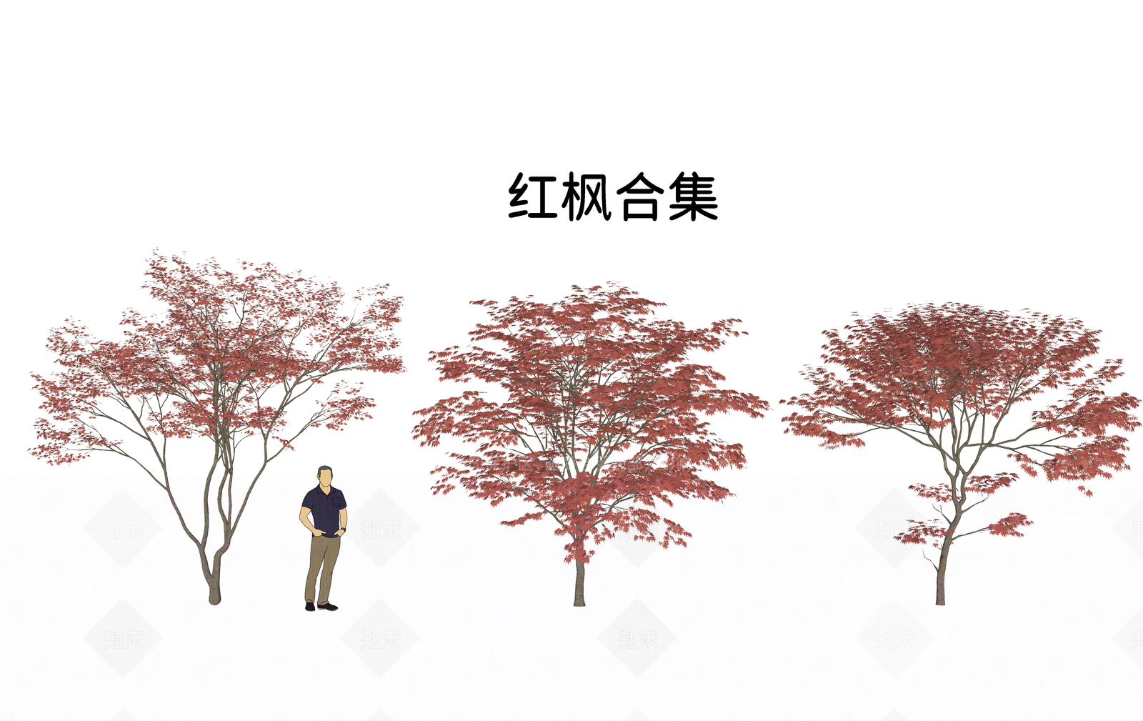 乔木SU模型下载【ID:1205386181】