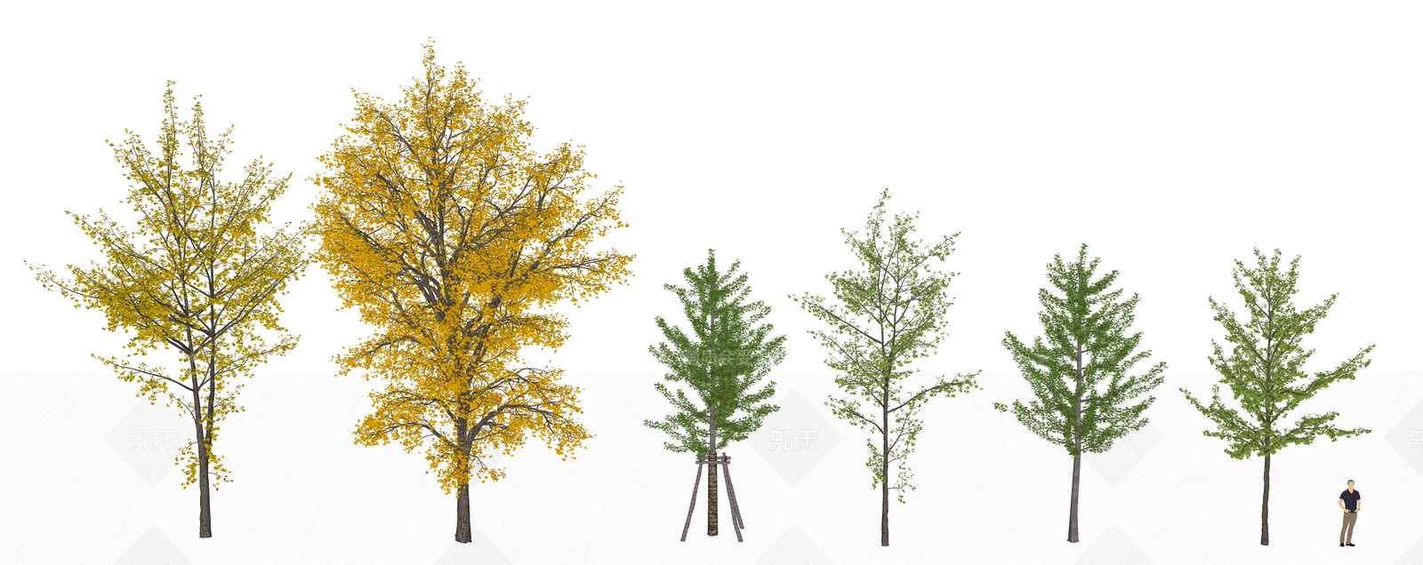 乔木SU模型下载【ID:1205390868】