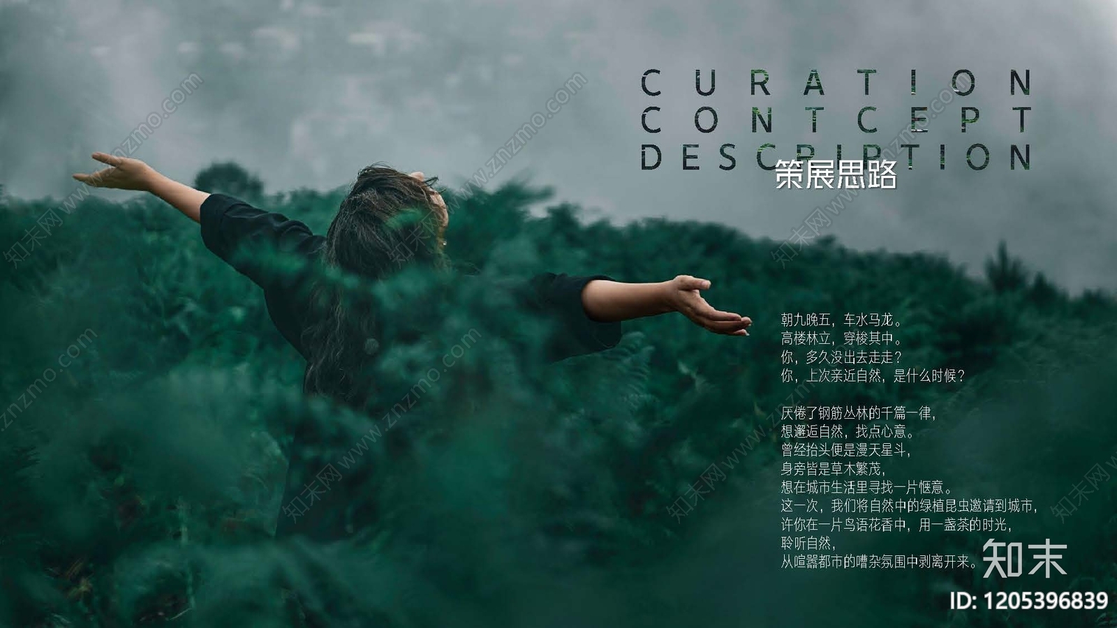 其他作品集下载【ID:1205396839】