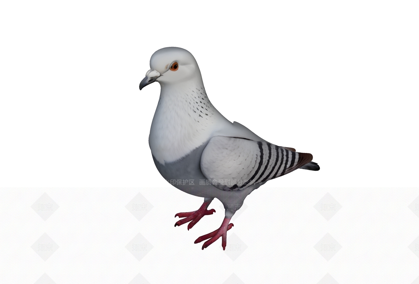 飞行动物SU模型下载【ID:1205422795】