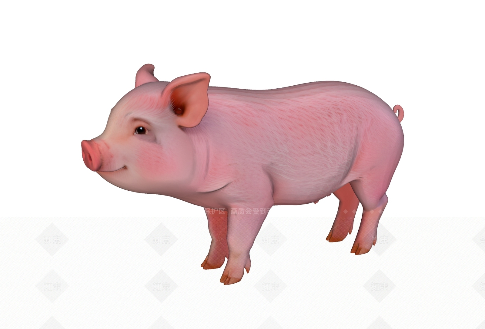 家禽动物SU模型下载【ID:1205426588】