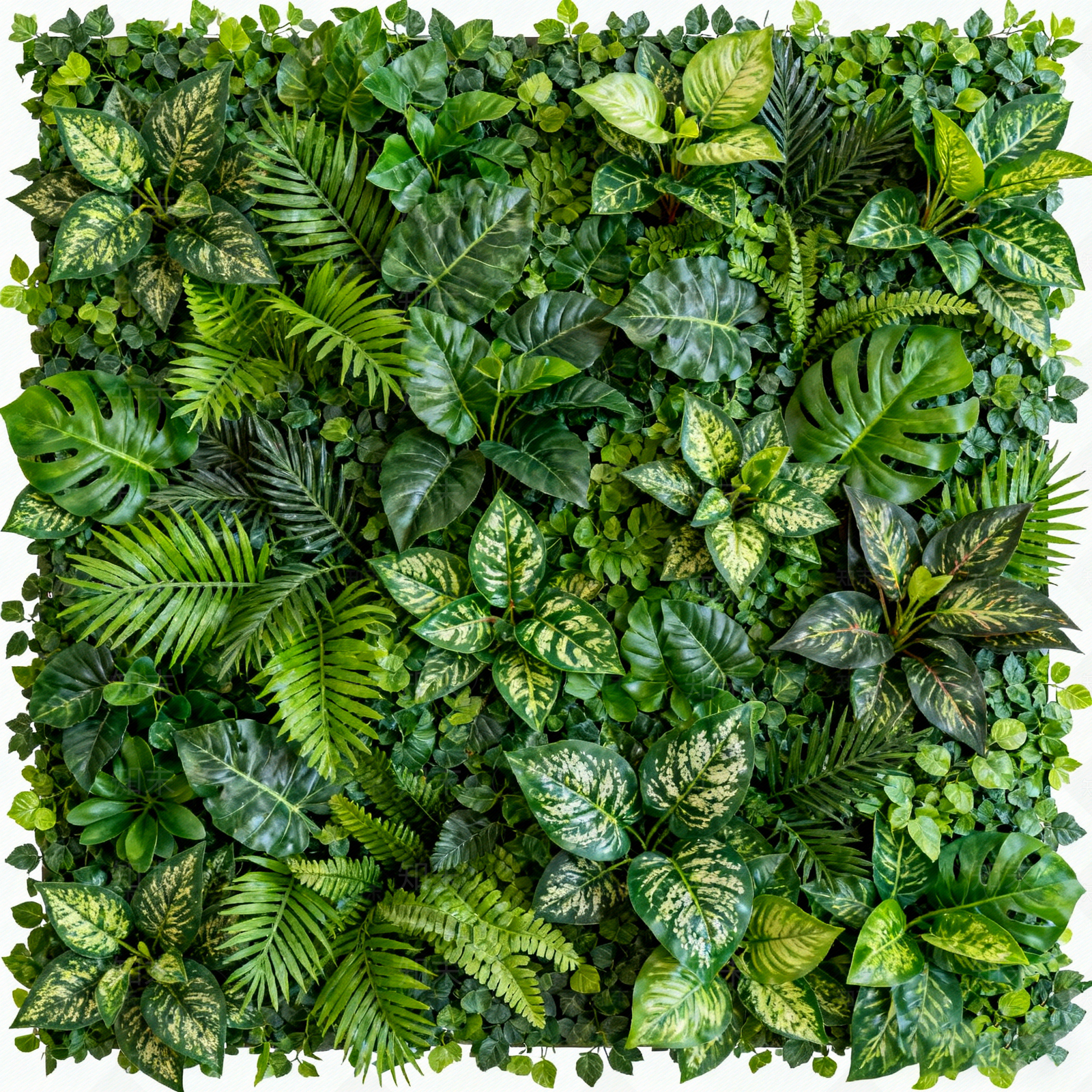 现代简约绿植墙贴图下载【ID:1205445024】