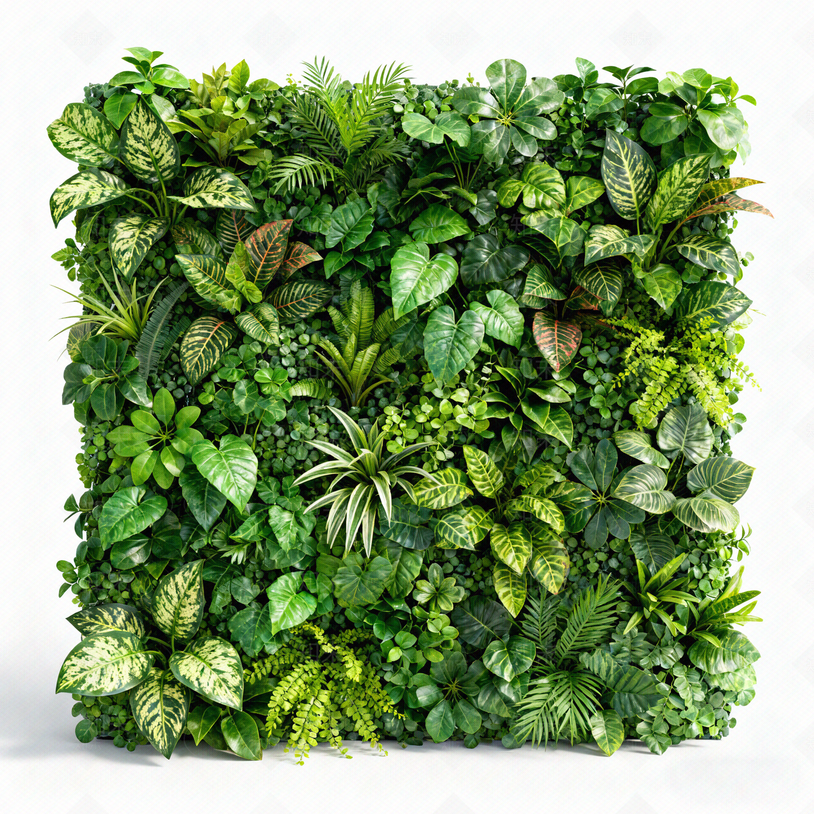 现代简约绿植墙贴图下载【ID:1205445335】