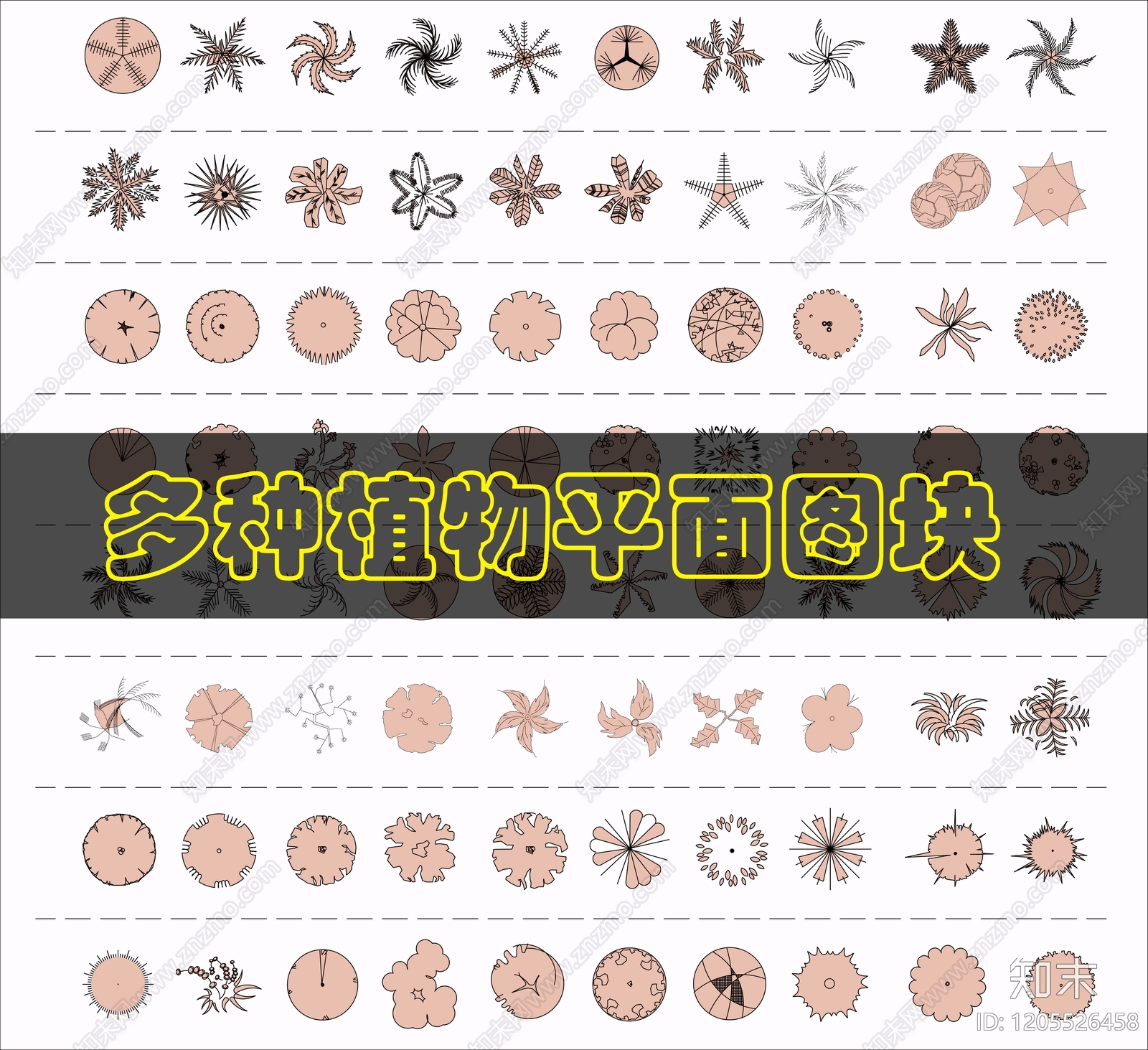 灌木种植施工图下载【ID:1205526458】