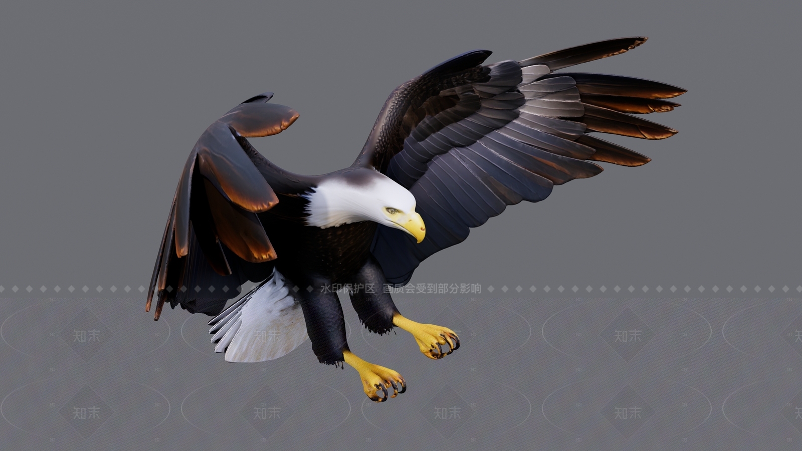 飞行动物SU模型下载【ID:1205554506】