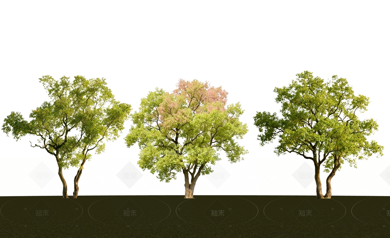 乔木SU模型下载【ID:1205555021】