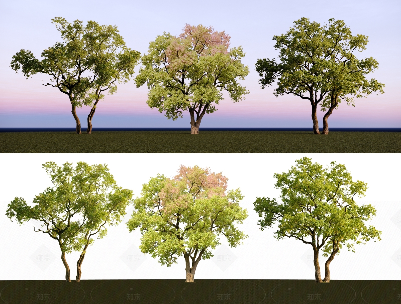 乔木SU模型下载【ID:1205555021】