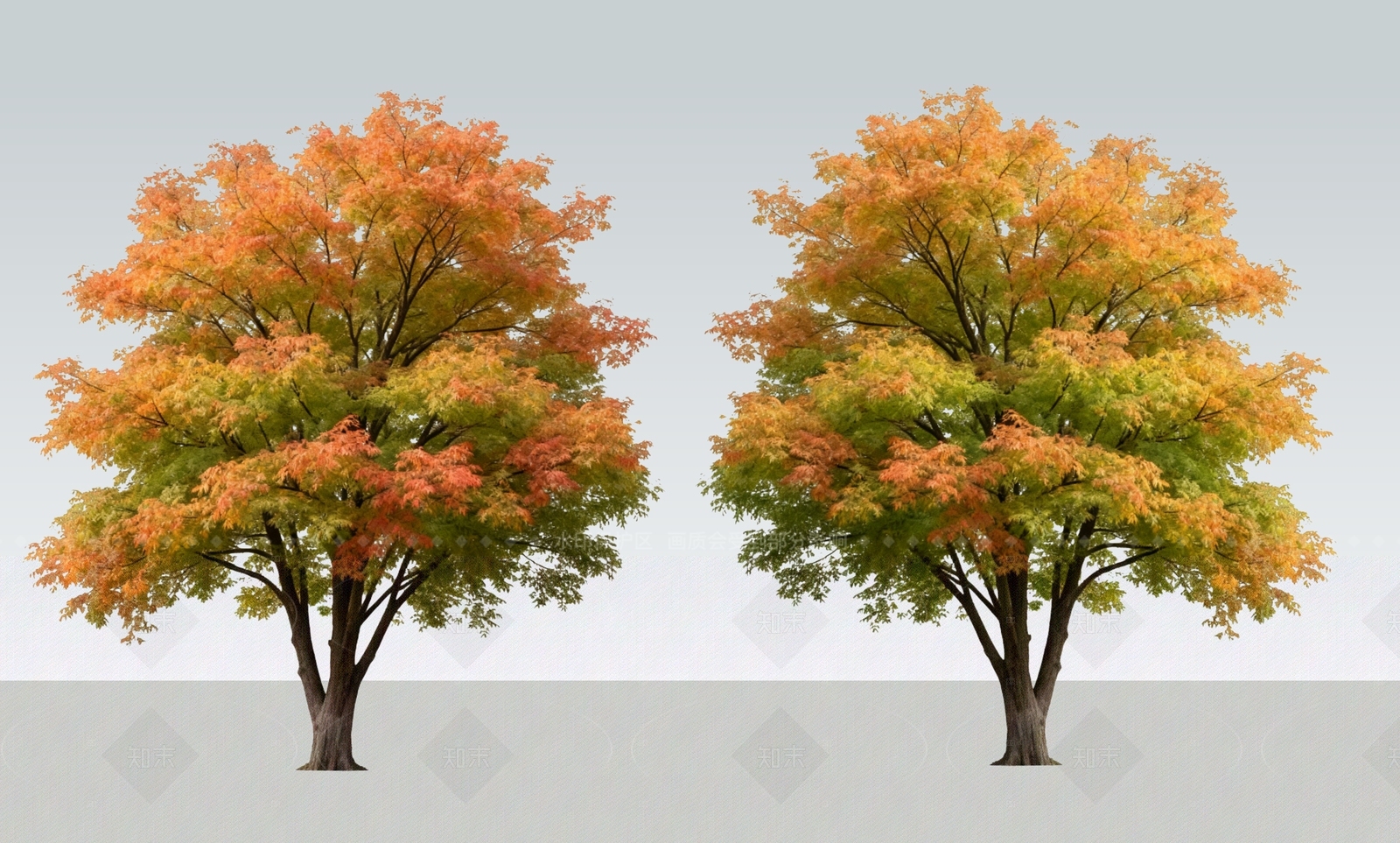 乔木SU模型下载【ID:1205561203】