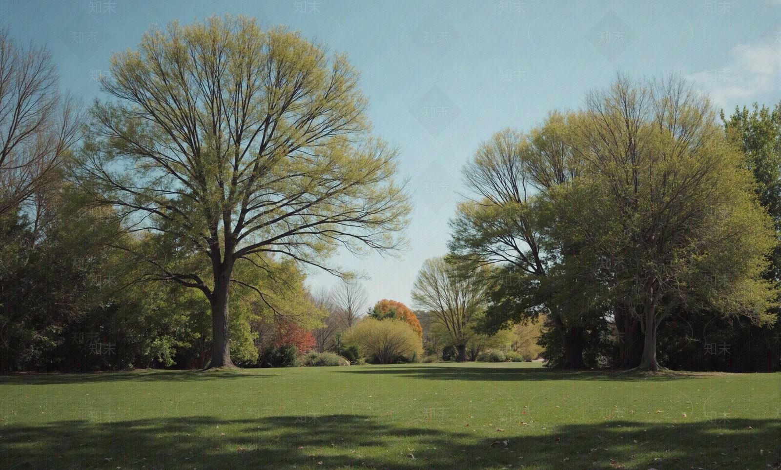 现代其它外景贴图下载【ID:1205574978】