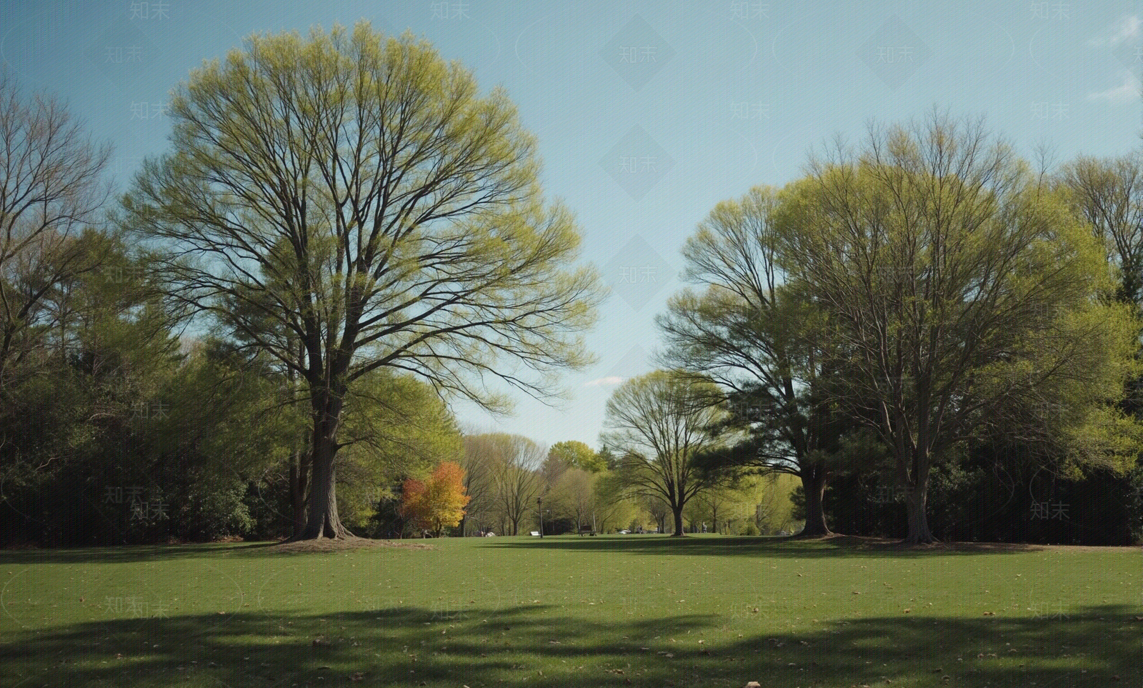现代其它外景贴图下载【ID:1205574989】