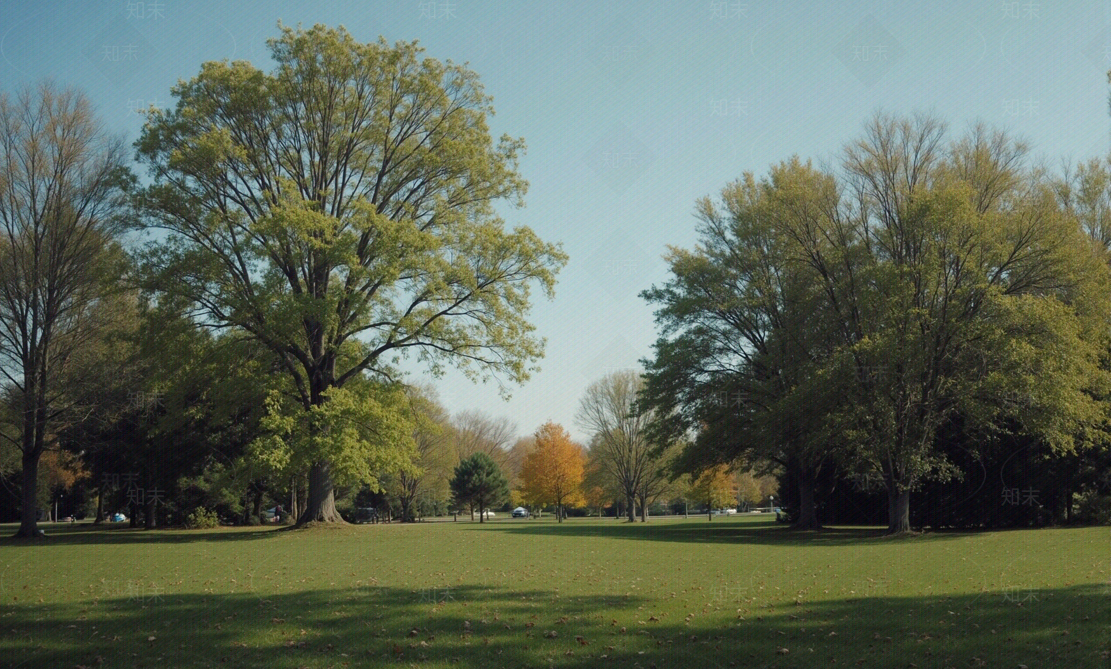 现代其它外景贴图下载【ID:1205575097】