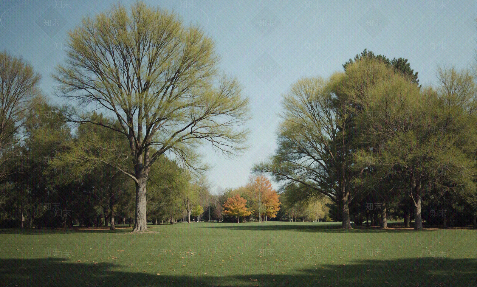 现代其它外景贴图下载【ID:1205575098】