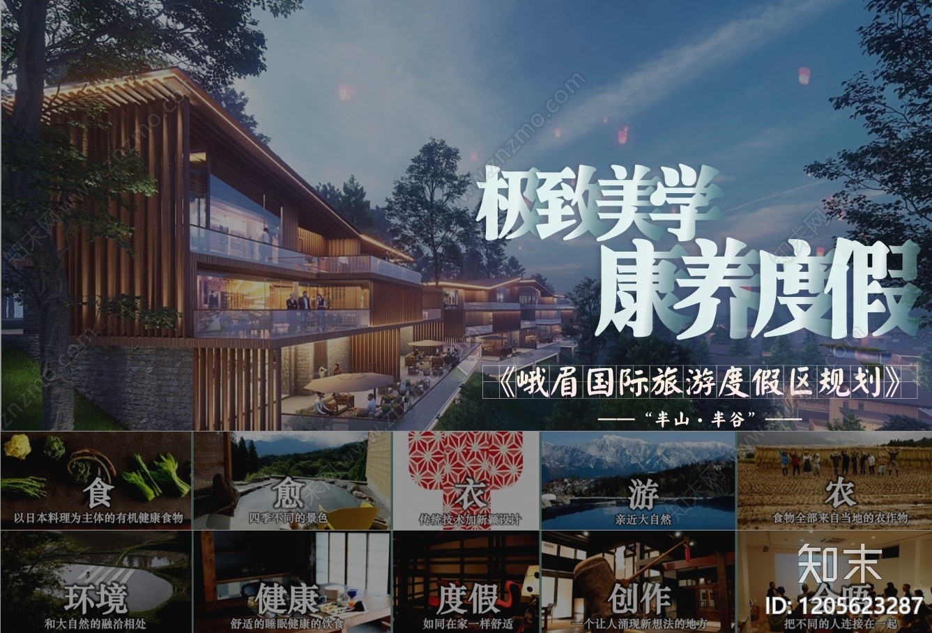 康养文旅下载【ID:1205623287】