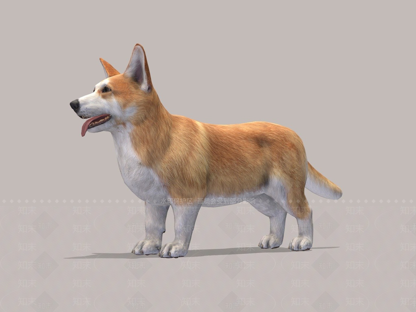 现代柯基宠物狗3D模型下载【ID:1205646314】