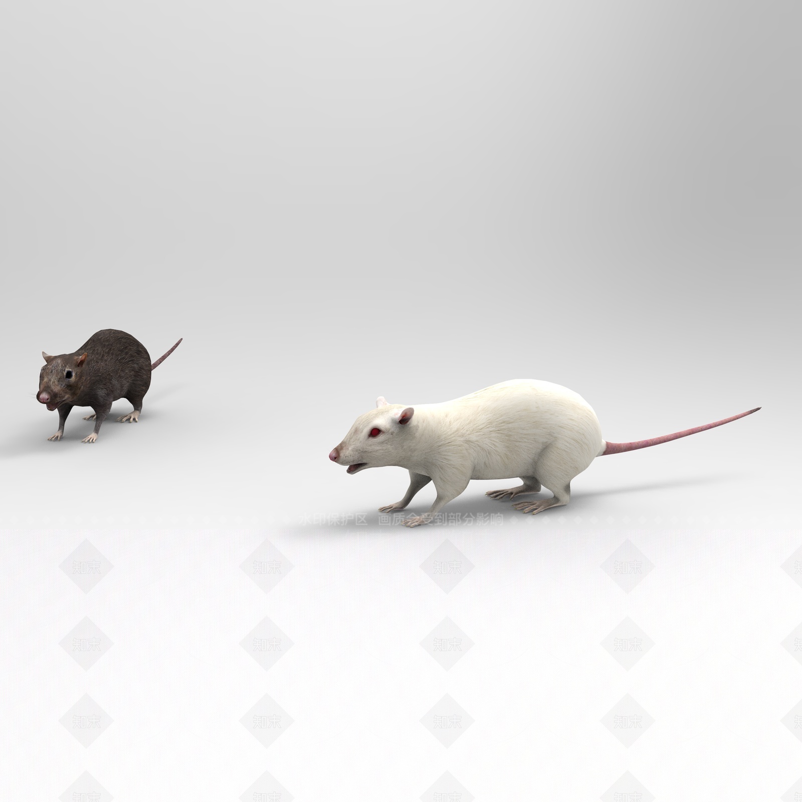 现代老鼠3D模型下载【ID:1205646326】