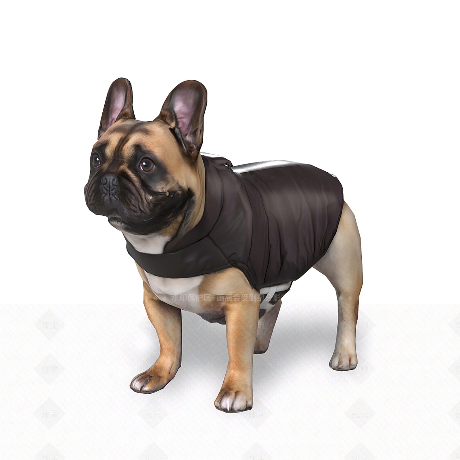 狗3D模型下载【ID:1205646327】