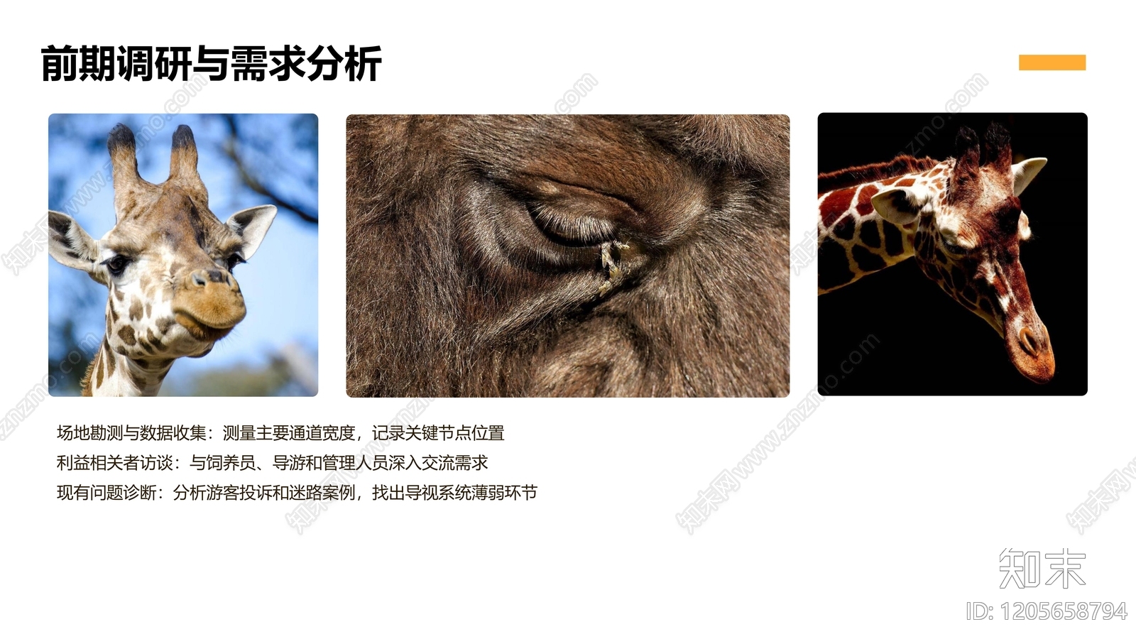 现代极简室外标识导视下载【ID:1205658794】