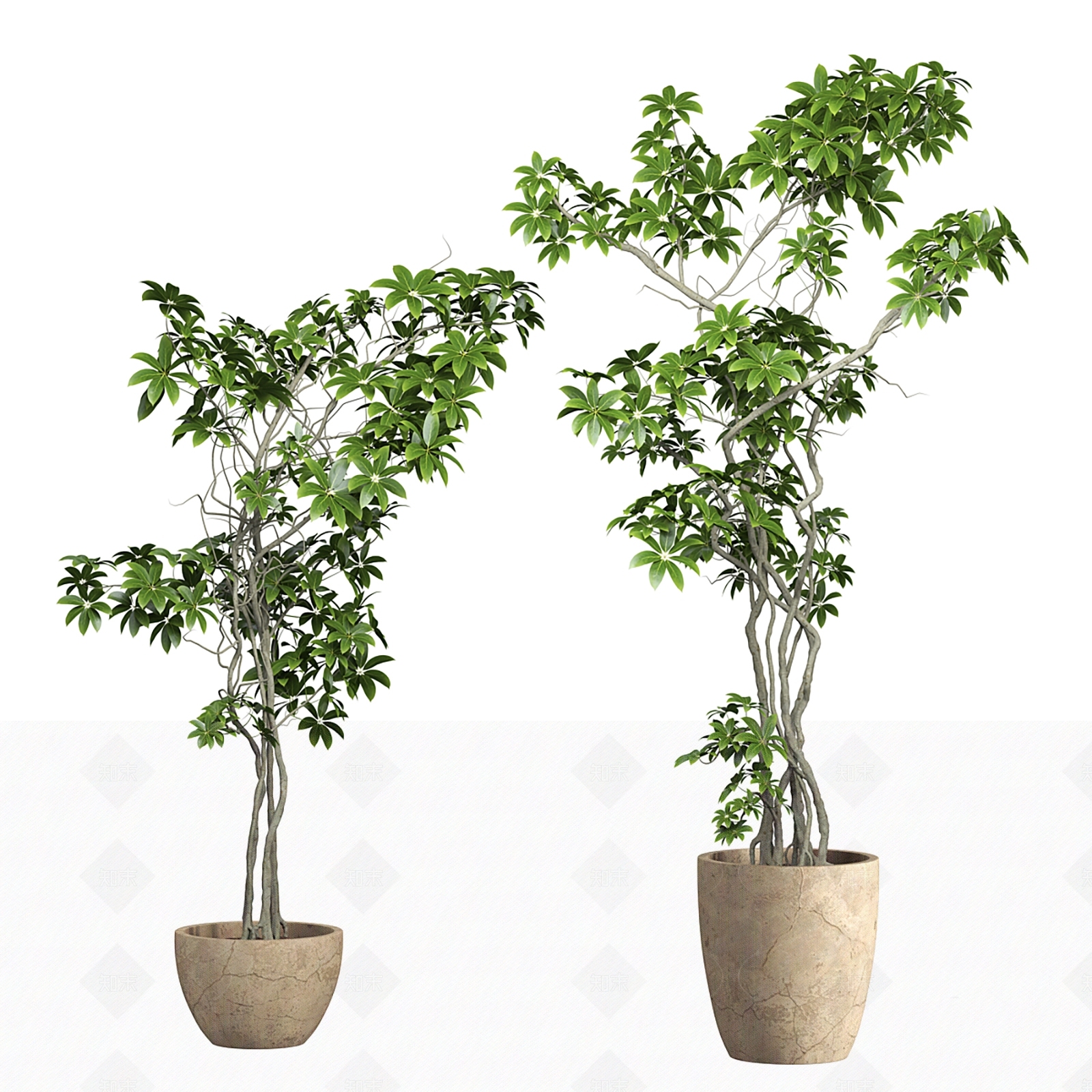 盆栽3D模型下载【ID:1205662849】