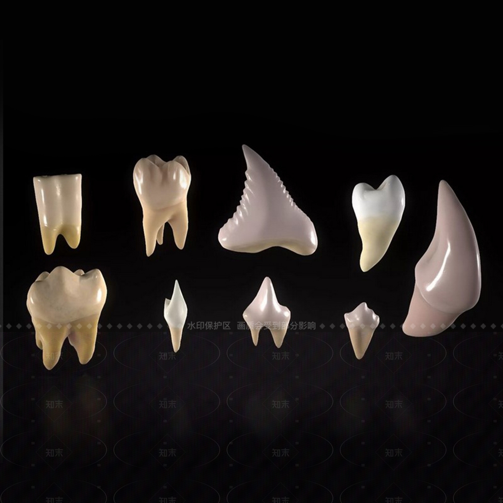 男人3D模型下载【ID:1205687078】