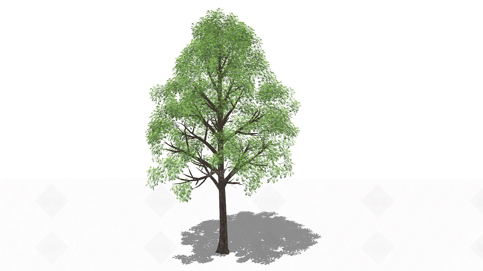 乔木SU模型下载【ID:1205719737】