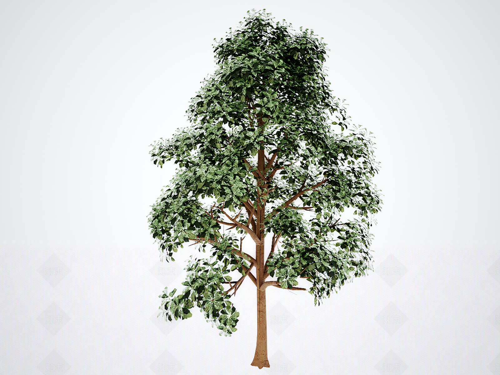 乔木SU模型下载【ID:1205719737】