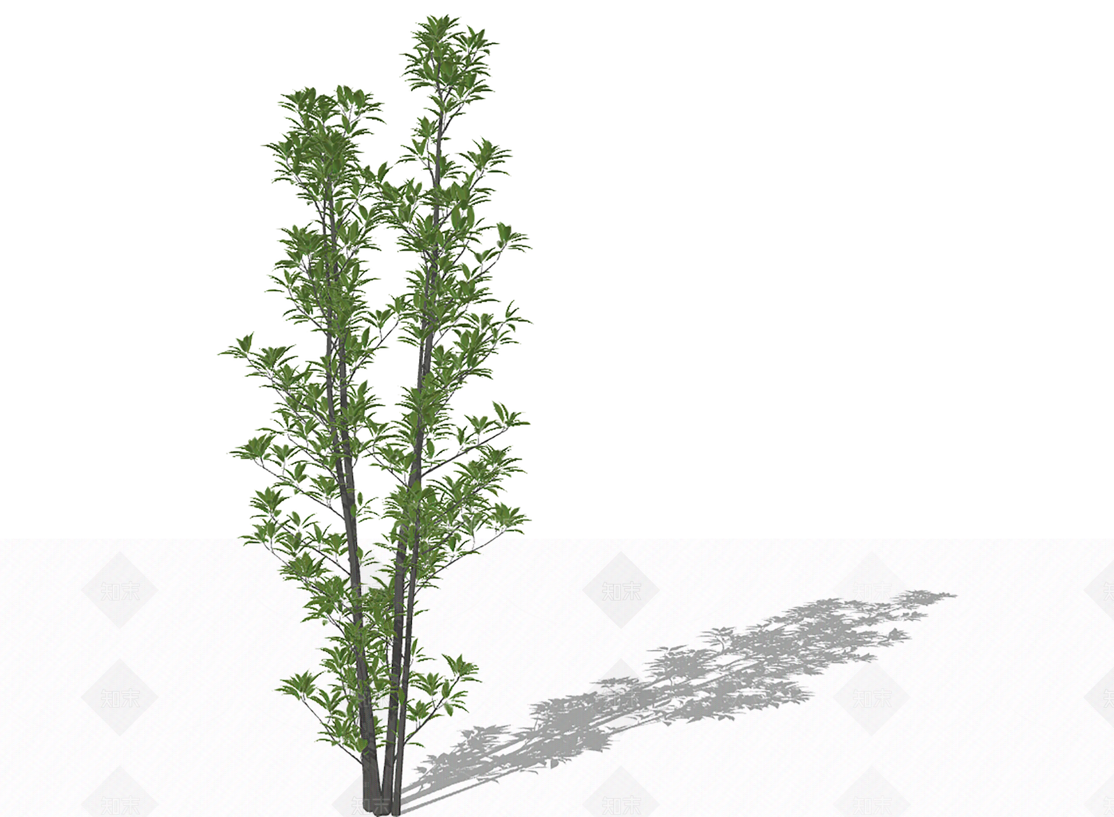 乔木SU模型下载【ID:1205720338】
