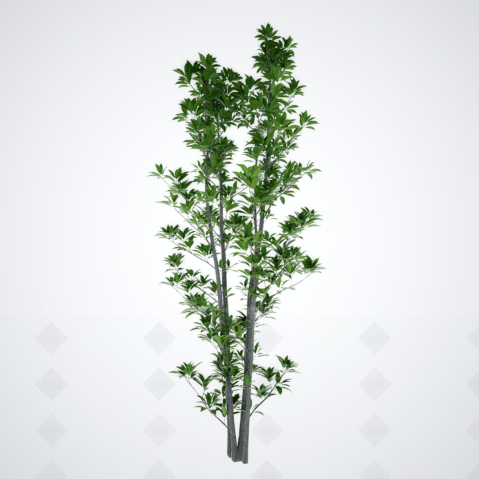 乔木SU模型下载【ID:1205720338】