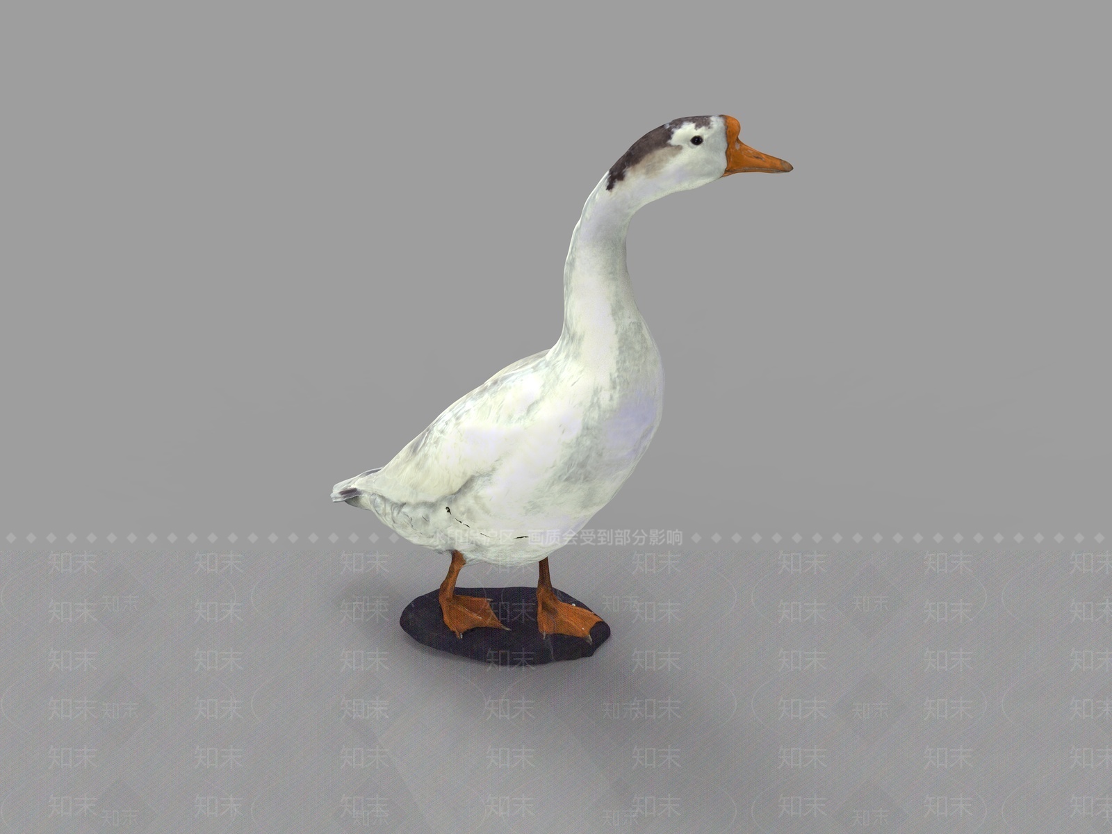 现代大鹅3D模型下载【ID:1205753885】