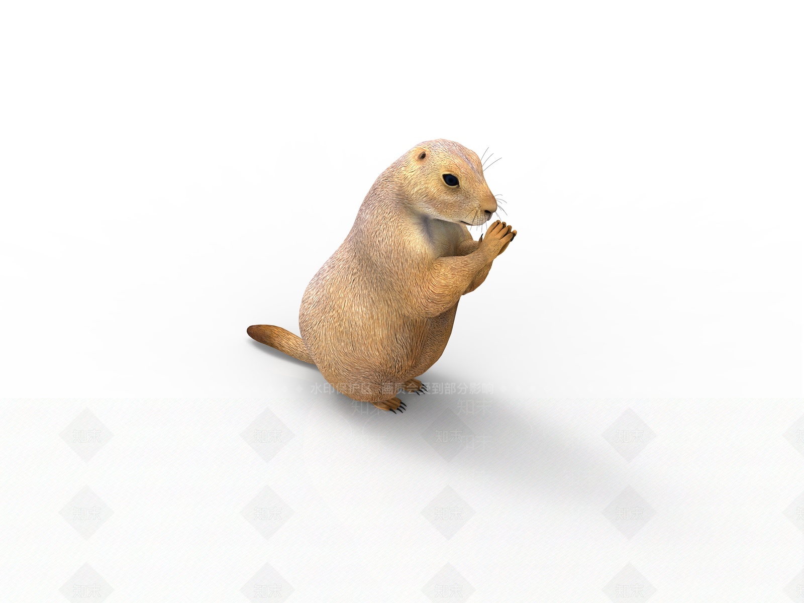 现代土拨鼠3D模型下载【ID:1205753819】