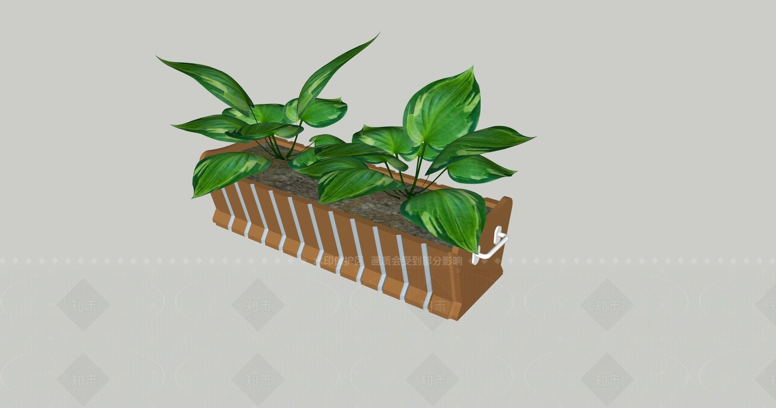 植物组合SU模型下载【ID:1205762849】