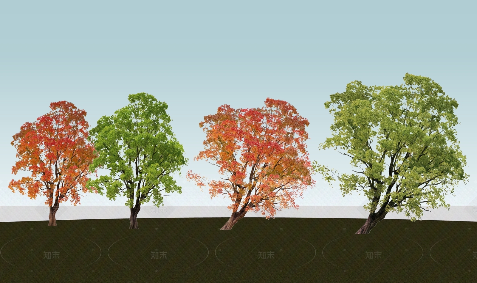 乔木SU模型下载【ID:1205810373】