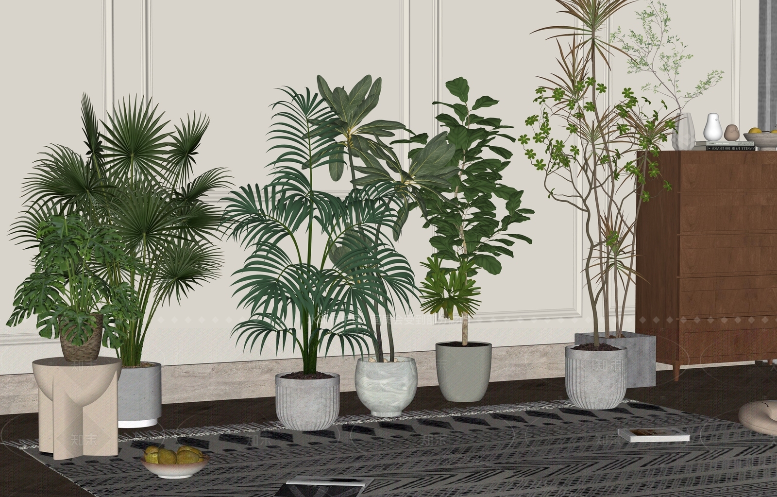 盆栽SU模型下载【ID:1205816188】