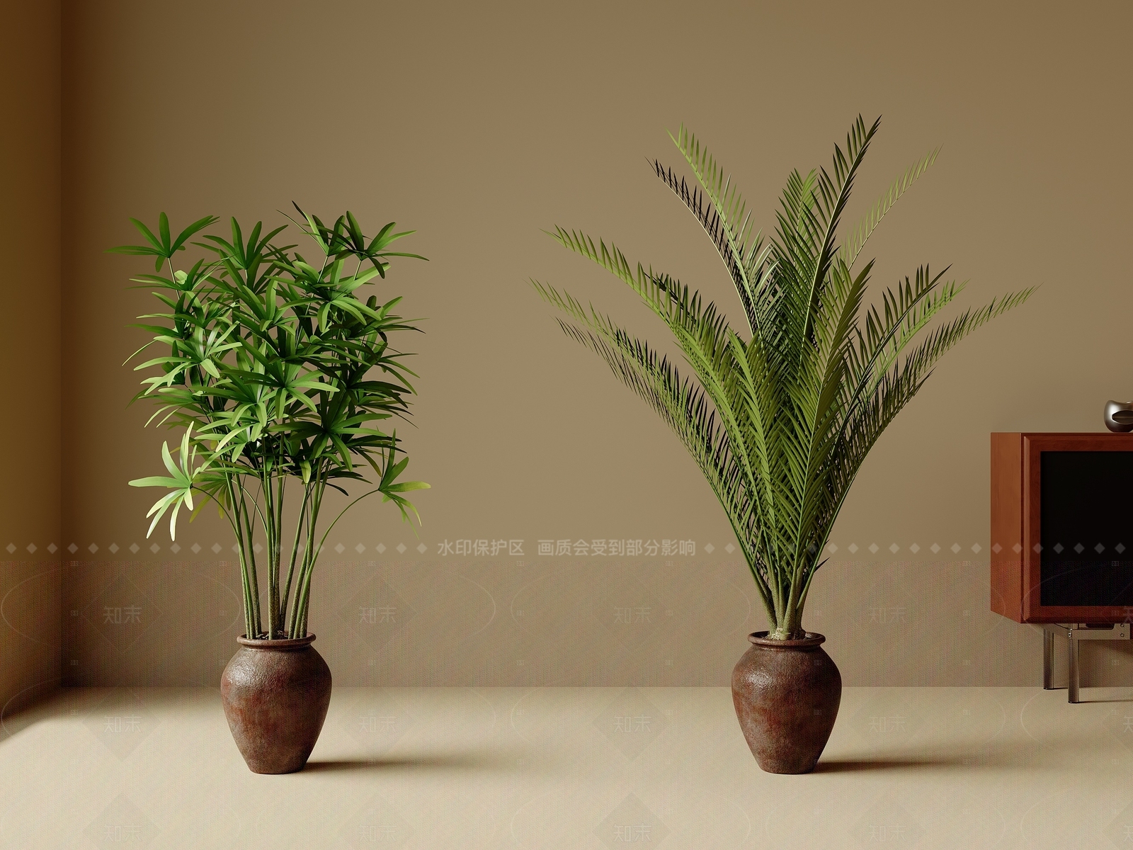 其他绿植3D模型下载【ID:1205824755】