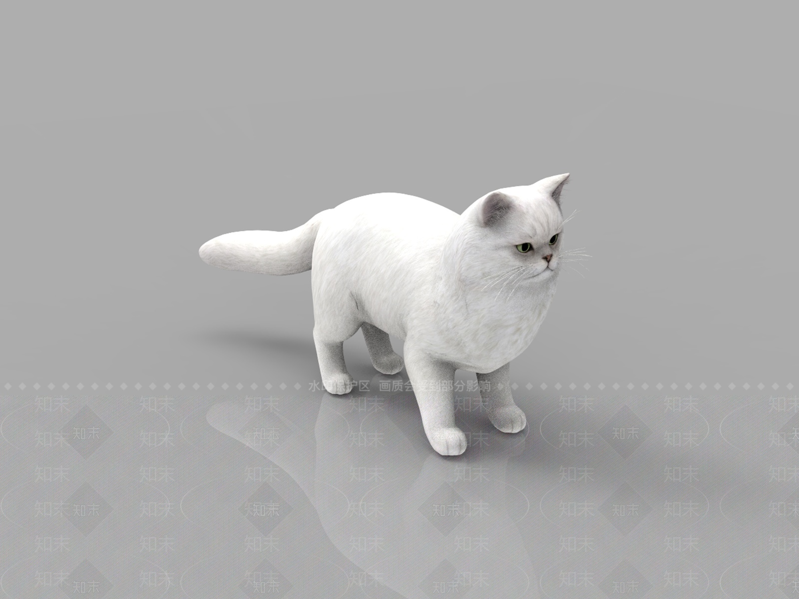 白猫3D模型下载【ID:1205890529】
