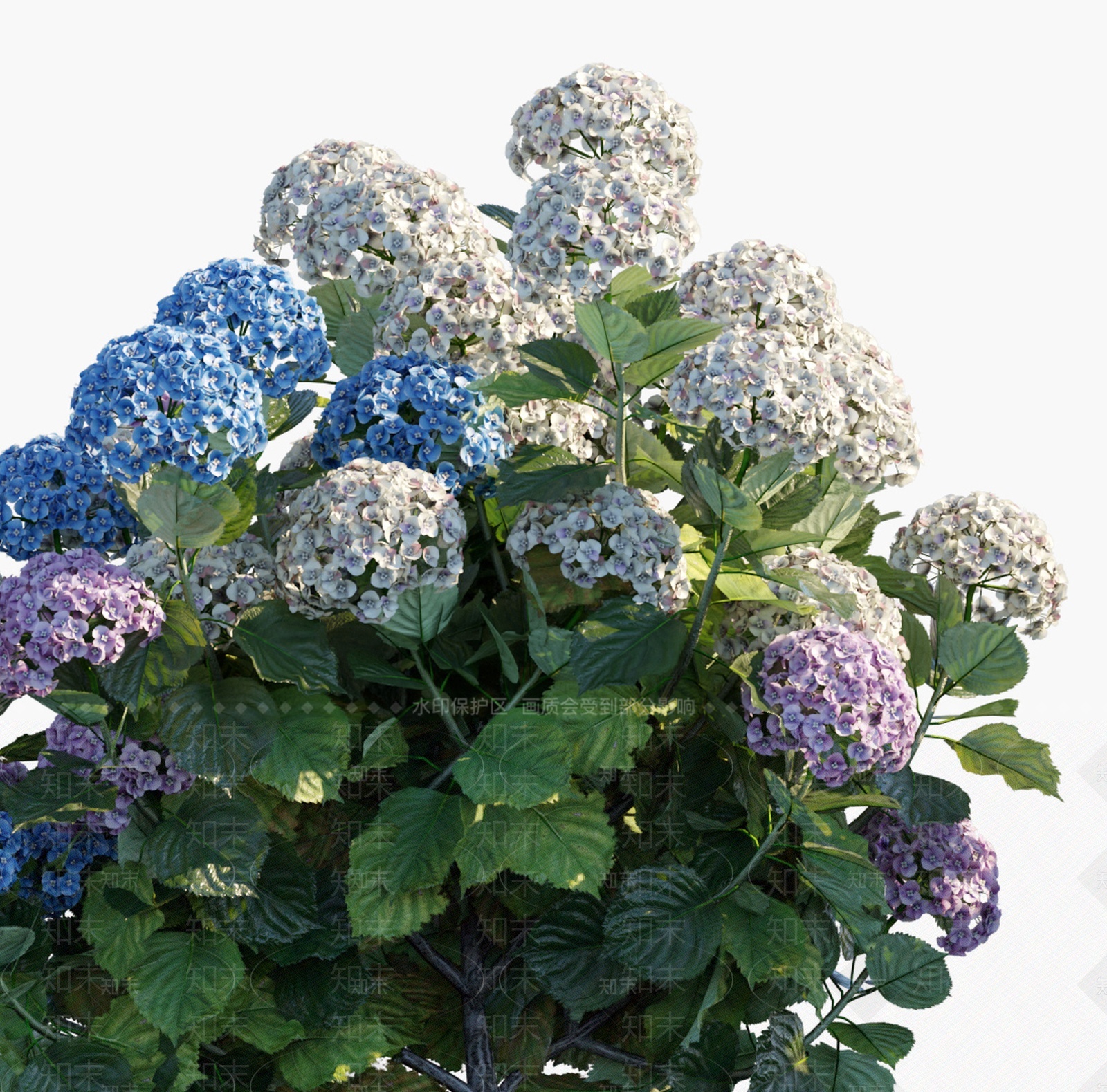 现代绣球花3D模型下载【ID:1205900775】