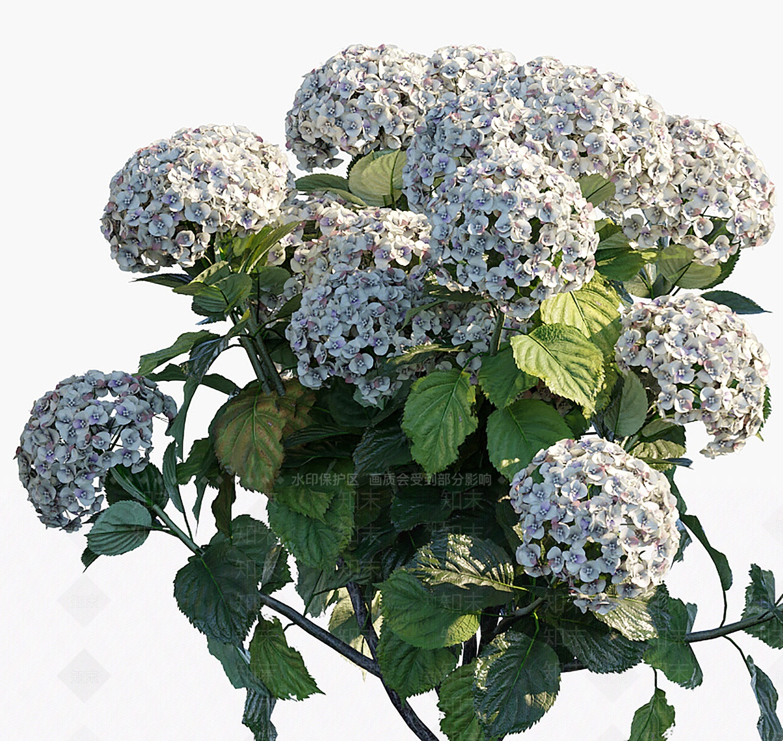 现代绣球花3D模型下载【ID:1205900775】
