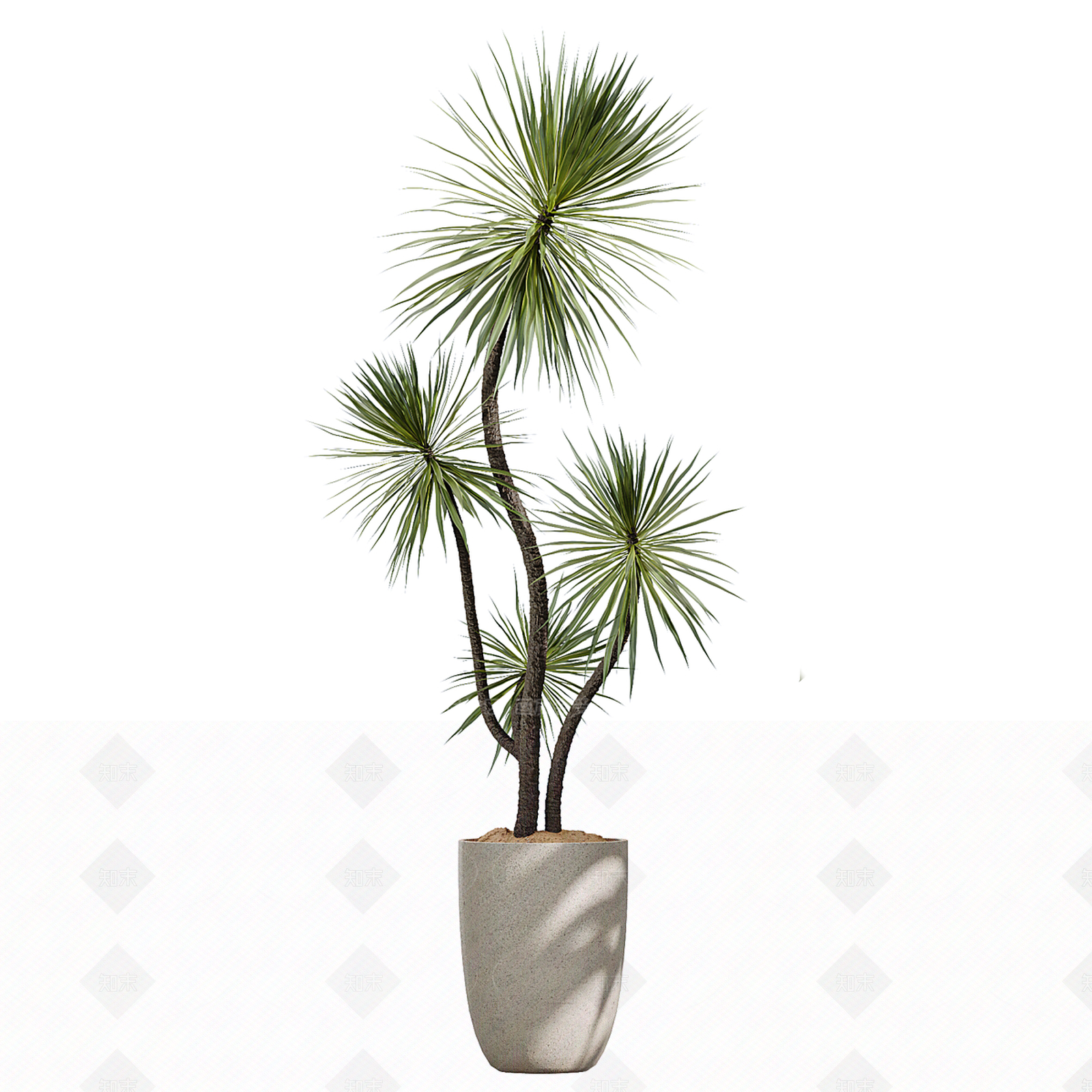 盆栽SU模型下载【ID:1205912376】