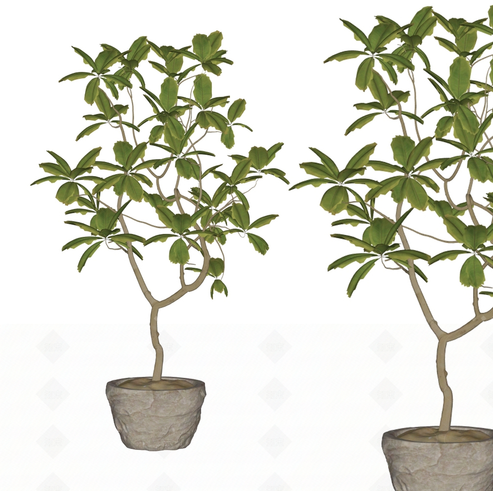 现代盆栽SU模型草图