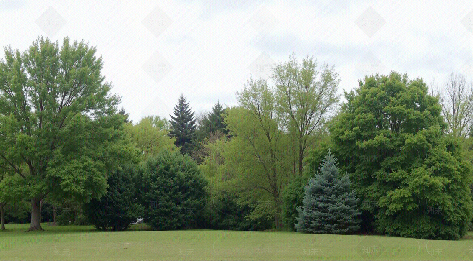 现代其它外景贴图下载【ID:1205968970】