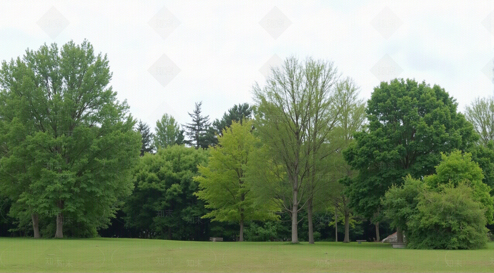 现代其它外景贴图下载【ID:1205968933】