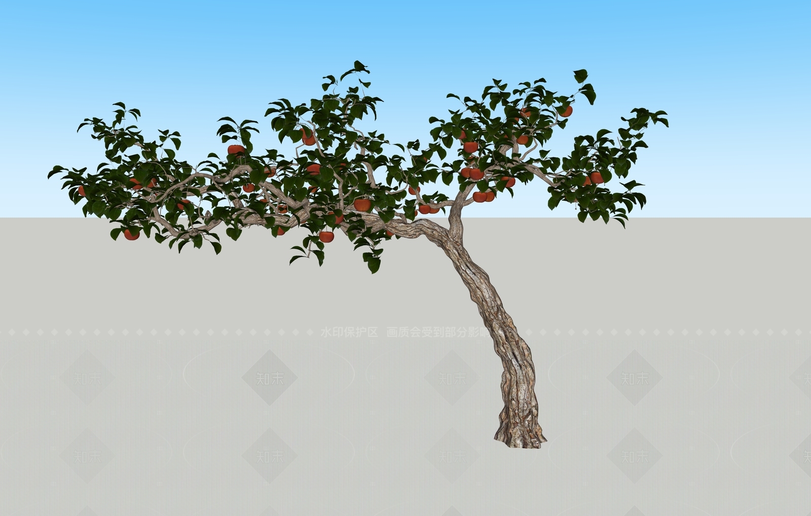 乔木SU模型下载【ID:1206058916】