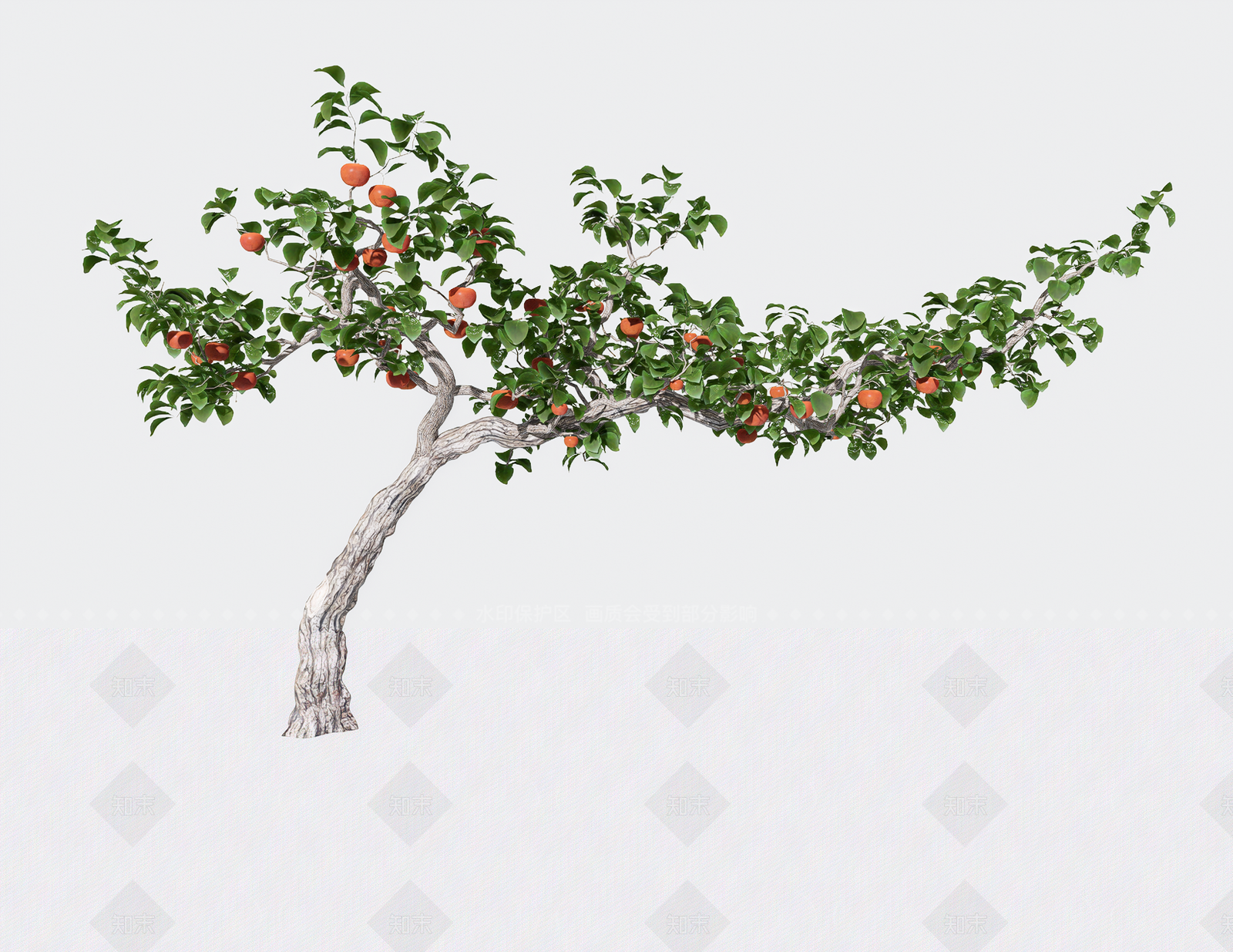 乔木SU模型下载【ID:1206058916】