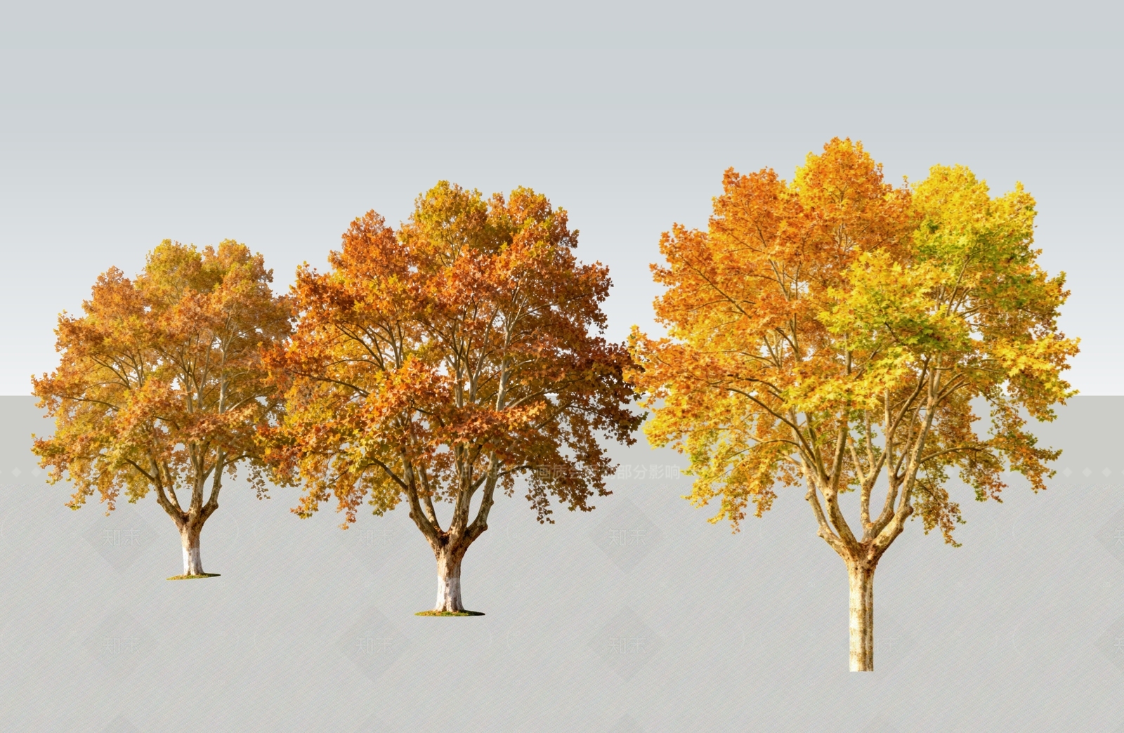 乔木SU模型下载【ID:1206176147】