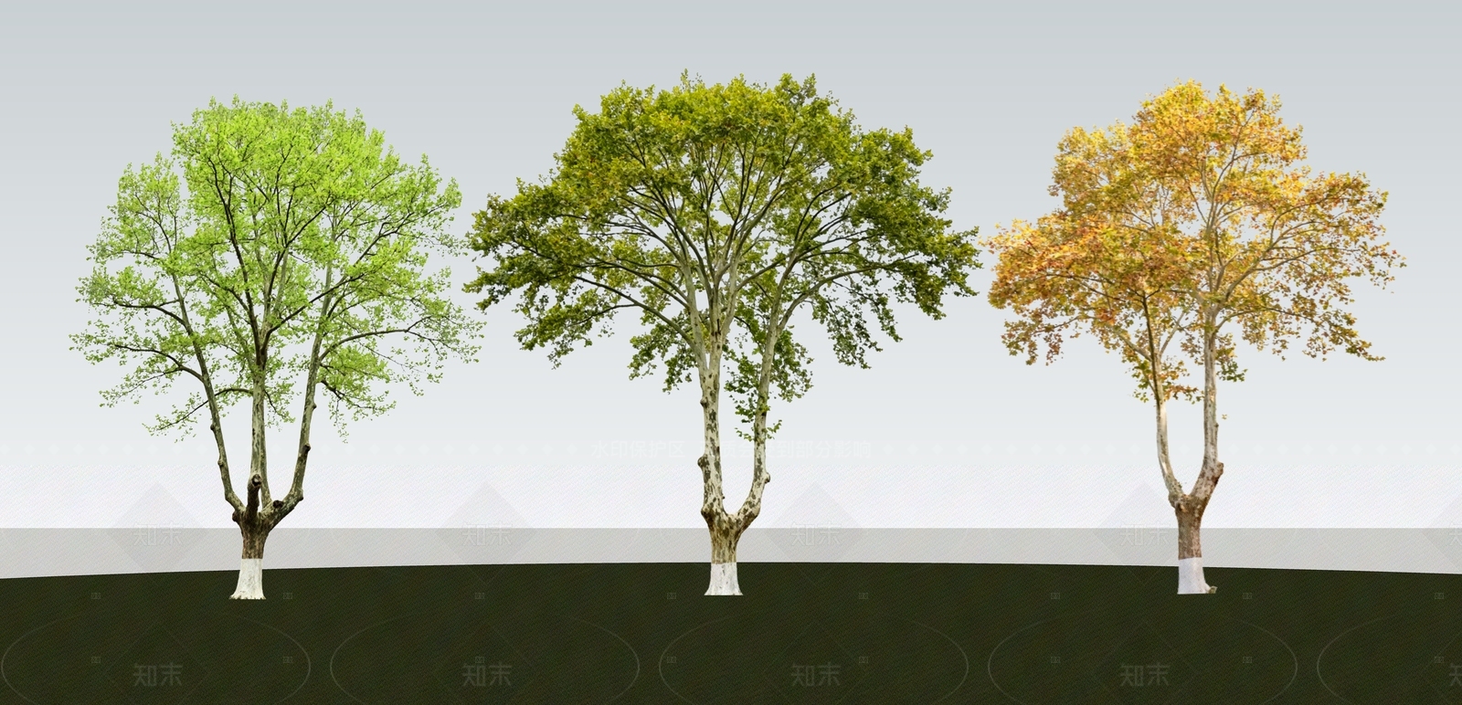 乔木SU模型下载【ID:1206207171】