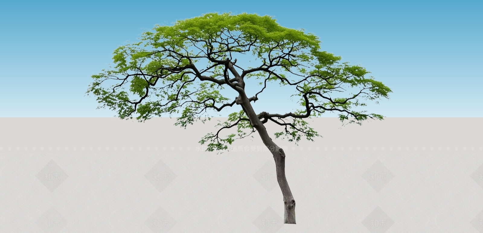 乔木SU模型下载【ID:1206235644】